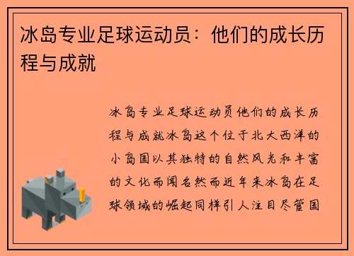 冰岛专业足球运动员：他们的成长历程与成就